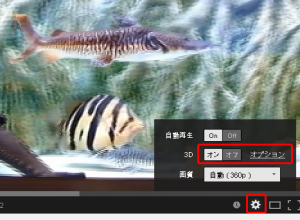 YouTube プレイヤー 設定
