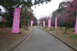 向山梅林園うめまつり