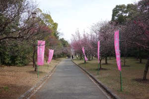 向山うめまつり