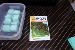 水耕栽培 サニーレタス