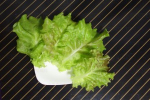 水耕栽培(第二期) 5/15 収穫