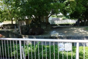 東山動植物園　インドサイ舎