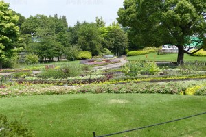 デンパーク 園内入り口付近