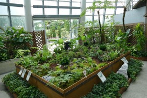 デンパーク 特別展示ミニチュアガーデン4