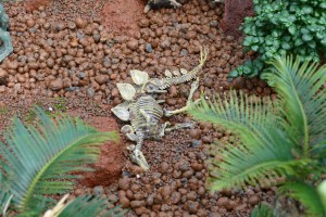 デンパーク 特別展示ミニチュアガーデン10