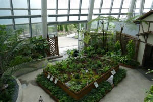 デンパーク 特別展示ミニチュアガーデン14