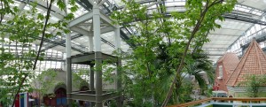 デンパーク 温室2