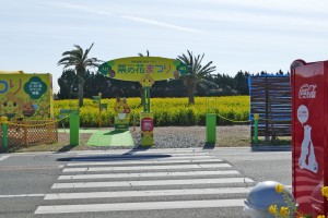 渥美半島菜の花まつり 園内入口
