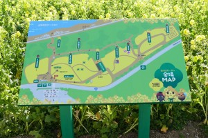 渥美半島菜の花まつり 園内マップ
