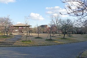 2016/02/17 向山梅林園 園内