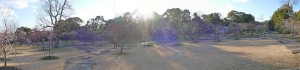 2016/02/17 向山梅林園 パノラマ