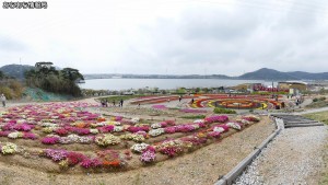 サンテパルクたはらチューリップフェア(4)