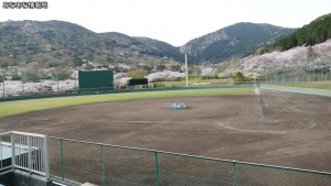 滝頭公園 滝頭桜まつり(3)