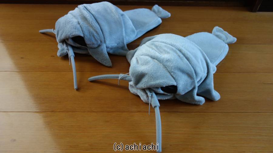 ダイオウグソクムシ風スリッパ斜め