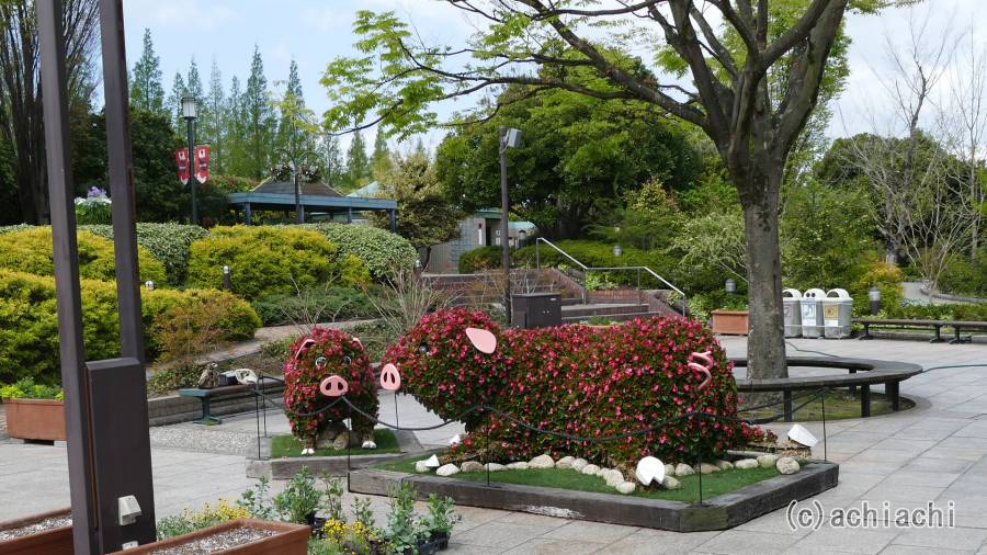 20170424_denpark014.jpg