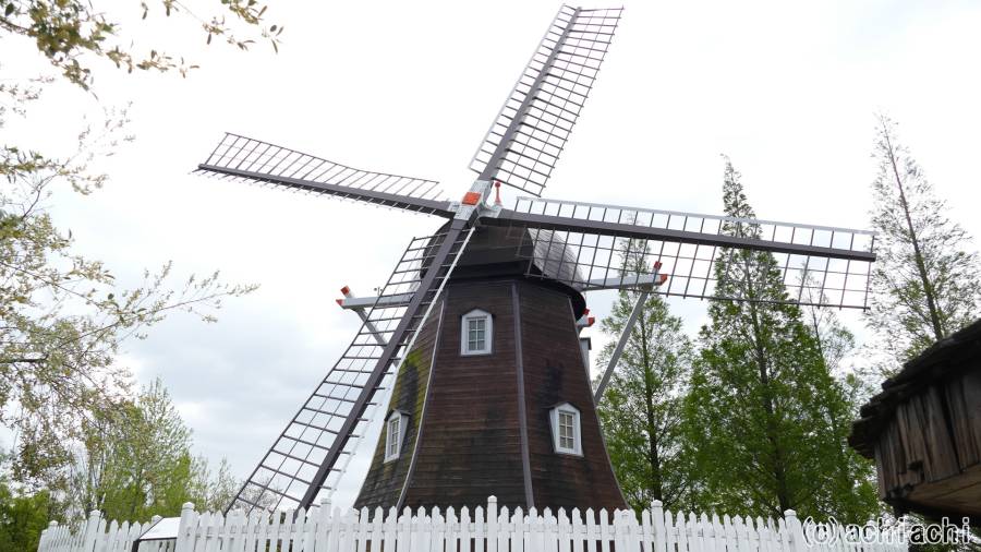 20170424_denpark017.jpg