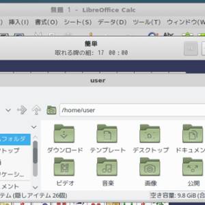 20180512_080443_debian.jpg