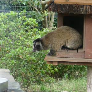 20181011_zoo02.jpg
