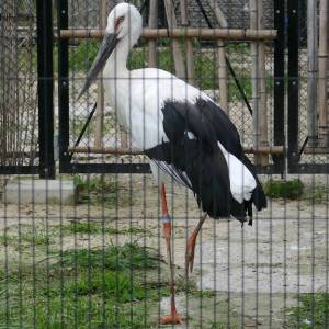 20181011_zoo04.jpg