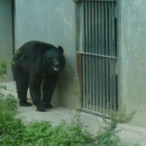 20181011_zoo05.jpg