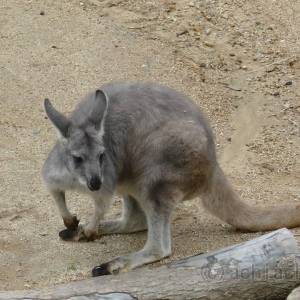 20181011_zoo06.jpg