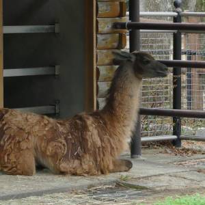 20181011_zoo11.jpg