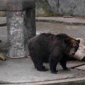 20181011_zoo12.jpg