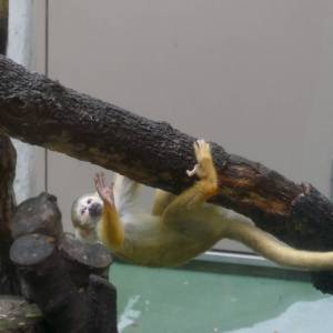 20181011_zoo13.jpg