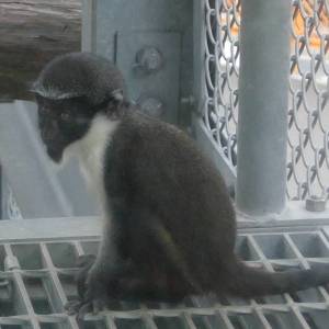 20181011_zoo16.jpg