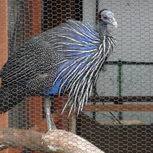 20181011_zoo19.jpg