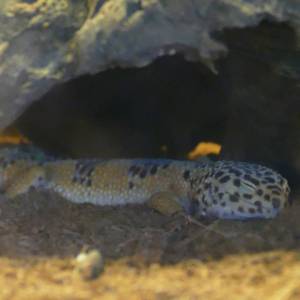 20181011_zoo22.jpg