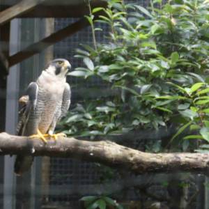 20181011_zoo23.jpg