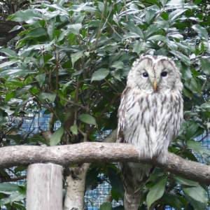 20181011_zoo24.jpg