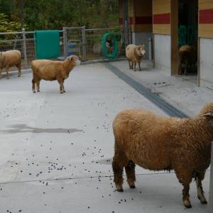20181011_zoo27.jpg