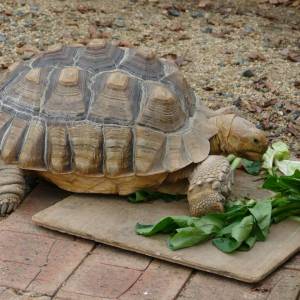 20181011_zoo28.jpg