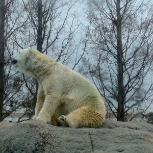 20181011_zoo32.jpg