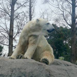 20181011_zoo33.jpg