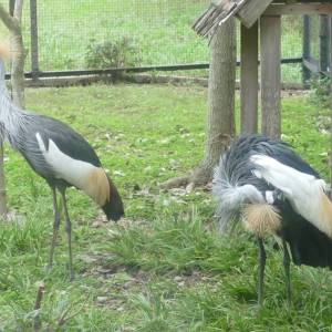 20181011_zoo36.jpg