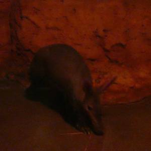 20181011_zoo41.jpg