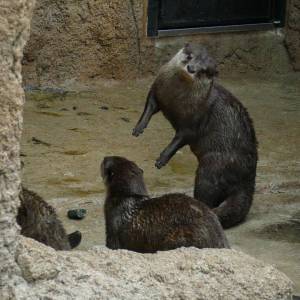 20181011_zoo42.jpg