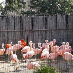 20190325_1001_zoo.jpg